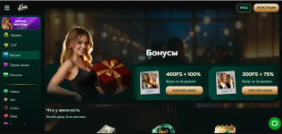 бонусы.PNG бонусы.PNG